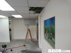 专业装修与维修服务 家艺装修工程全方位解决方案