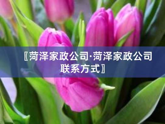 菏泽家政公司 一站式室内外装饰装修与维修工程解决方案